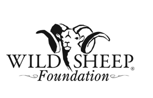 Wild Sheep Foundation Commits 0,000 to Defeat a Ballot Initiative to Ban Mountain Lion Hunting in Colorado