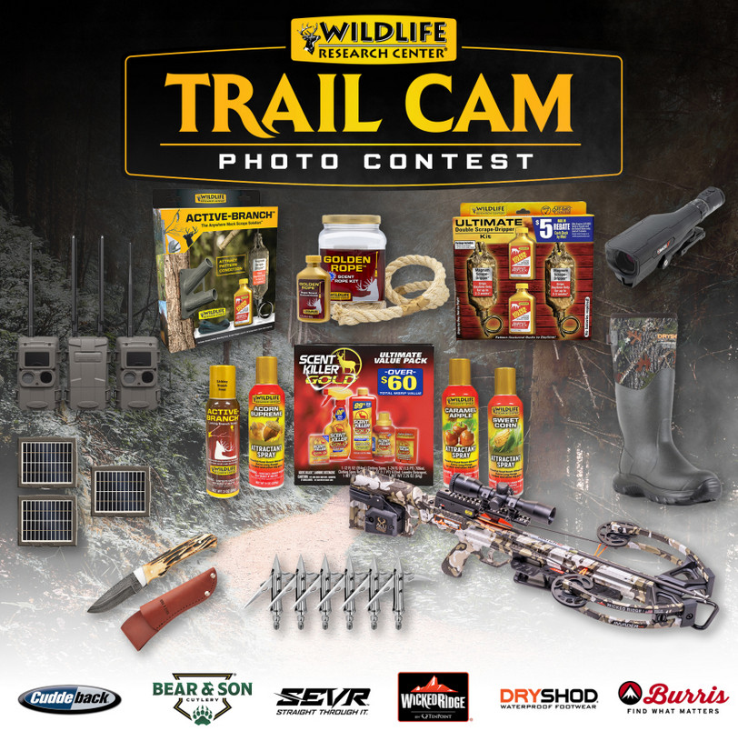 Wildlife Research Center Launches Trail Cam Photo Contest