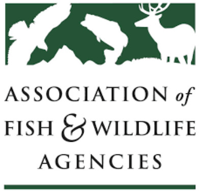 AFWA Invests Over  Million in Strategic Conservation