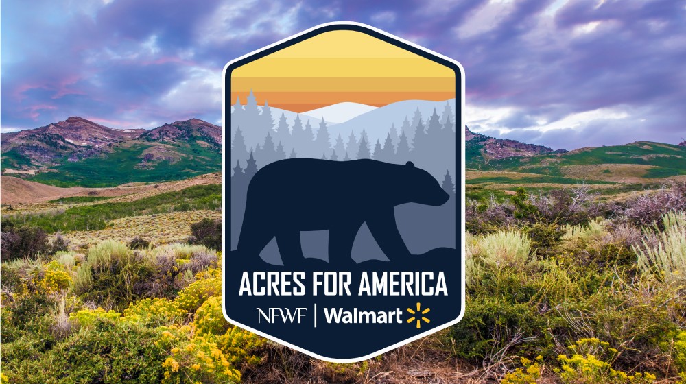 Walmart and the National Fish and Wildlife Foundation Announce 10-Year Renewal of the Acres for America Program