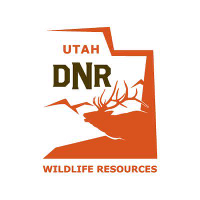 DWR Stocks More Than 12.8 Million Fish Throughout Utah in 2024